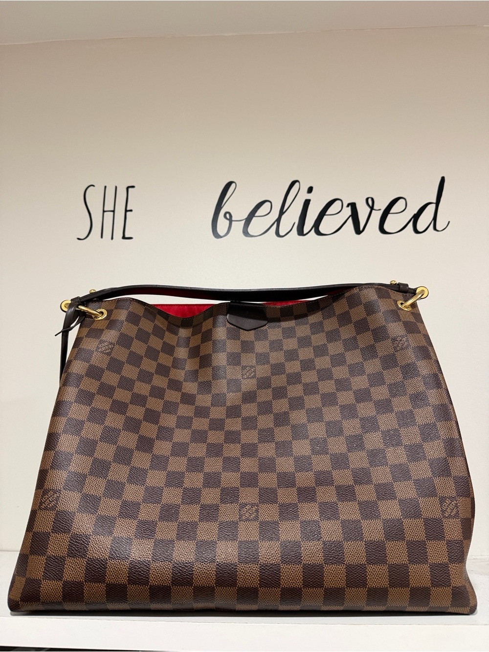 Louis Vuitton  Check Hobo Bag with Red Interior